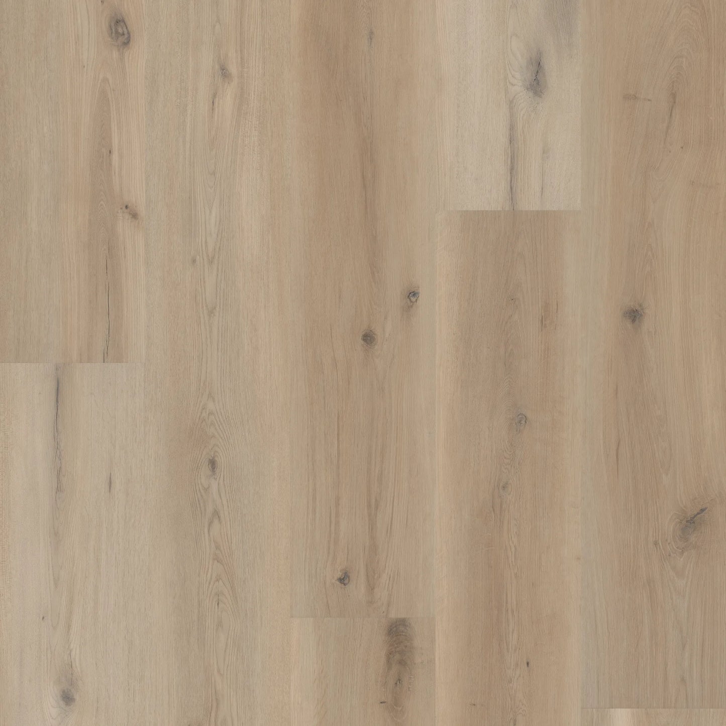 CORETEC PRO PREMIUM - SEA SALT OAK